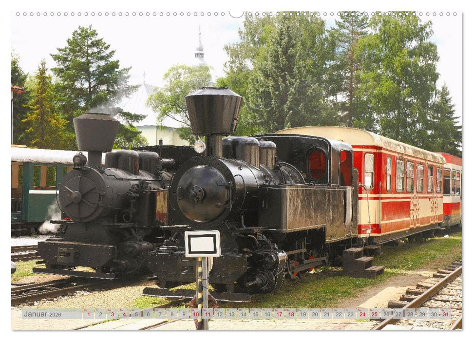 Streifzüge durch die mittlere Slowakei (CALVENDO Premium Wandkalender 2026)