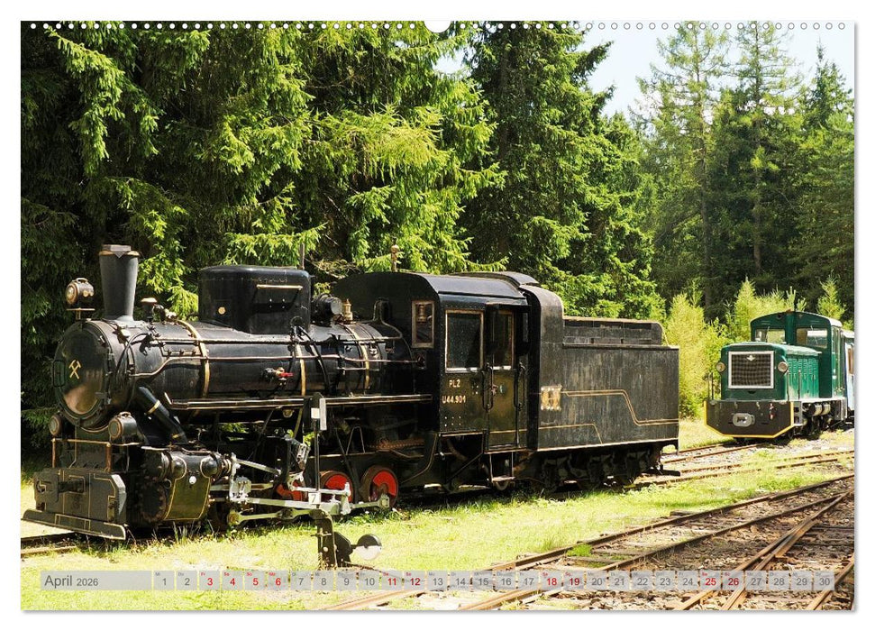 Streifzüge durch die mittlere Slowakei (CALVENDO Premium Wandkalender 2026)
