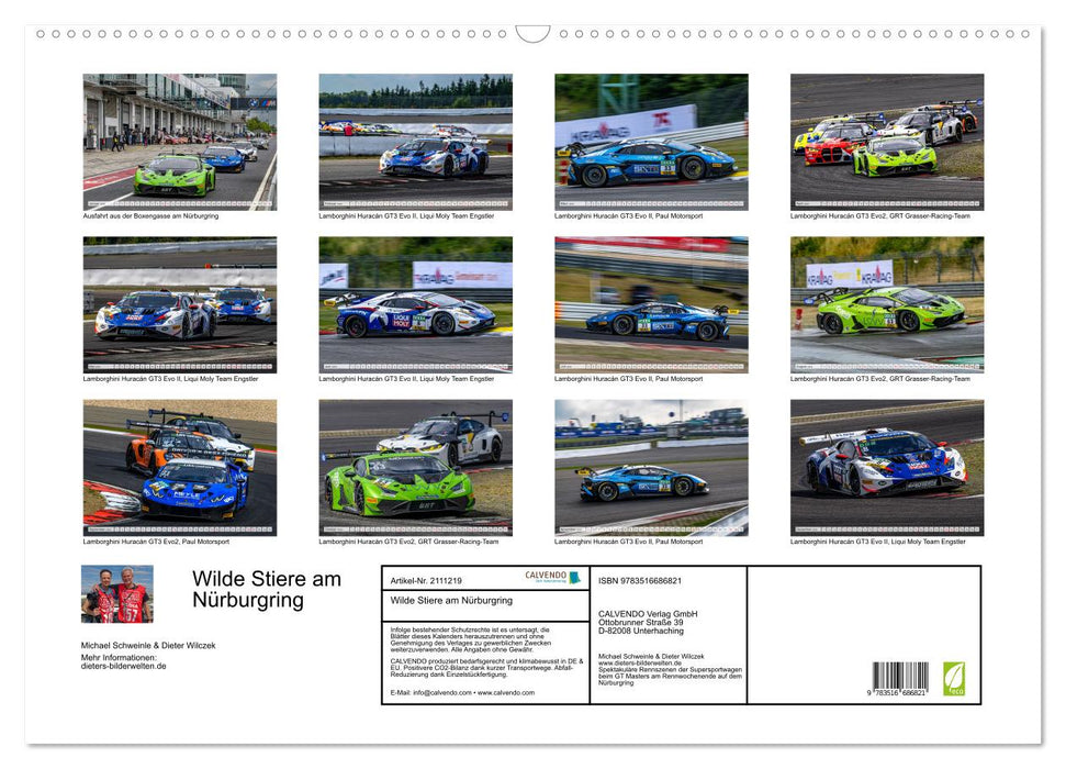 Wilde Stiere am Nürburgring (CALVENDO Wandkalender 2026)