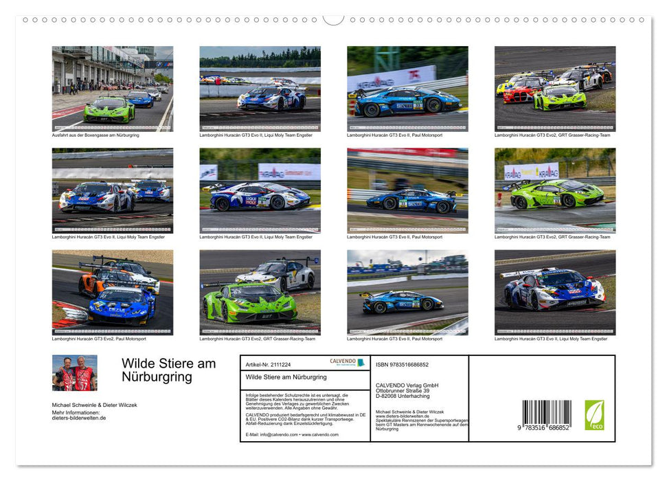 Wilde Stiere am Nürburgring (CALVENDO Premium Wandkalender 2026)