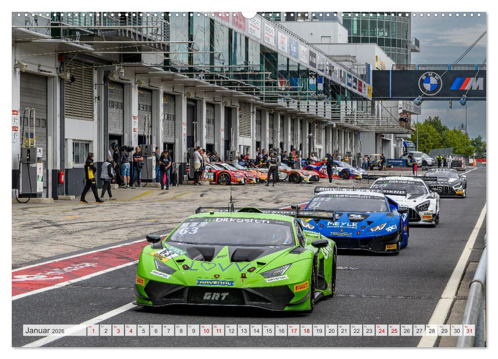 Wilde Stiere am Nürburgring (CALVENDO Premium Wandkalender 2026)