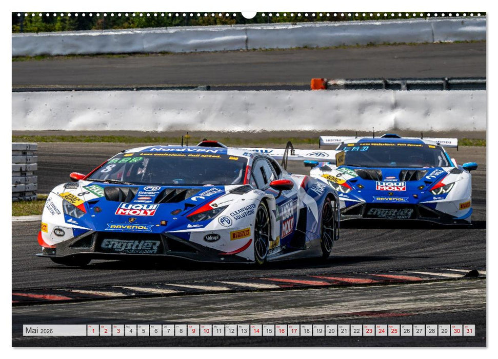 Wilde Stiere am Nürburgring (CALVENDO Premium Wandkalender 2026)