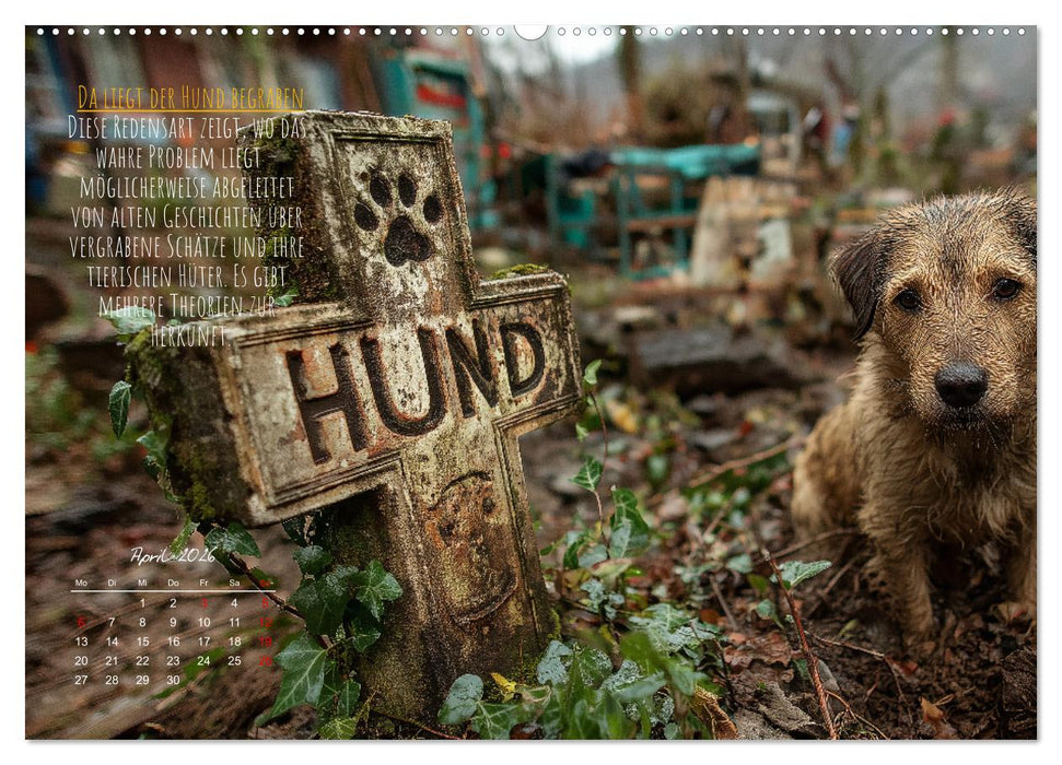 Nicht 08/15 - Deutsche Redewendungen und ihre Herkunft (CALVENDO Wandkalender 2026)