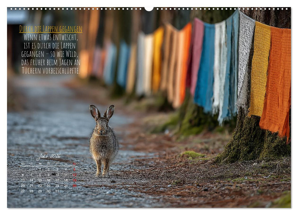 Nicht 08/15 - Deutsche Redewendungen und ihre Herkunft (CALVENDO Premium Wandkalender 2026)