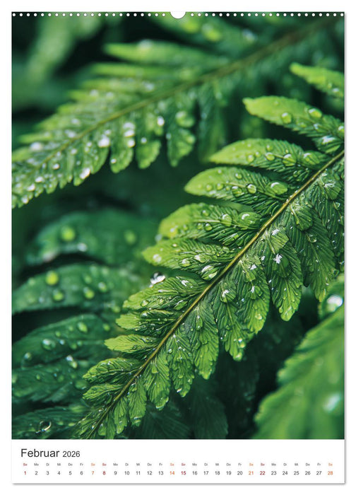 Seelenzeit Natur (CALVENDO Premium Wandkalender 2026)