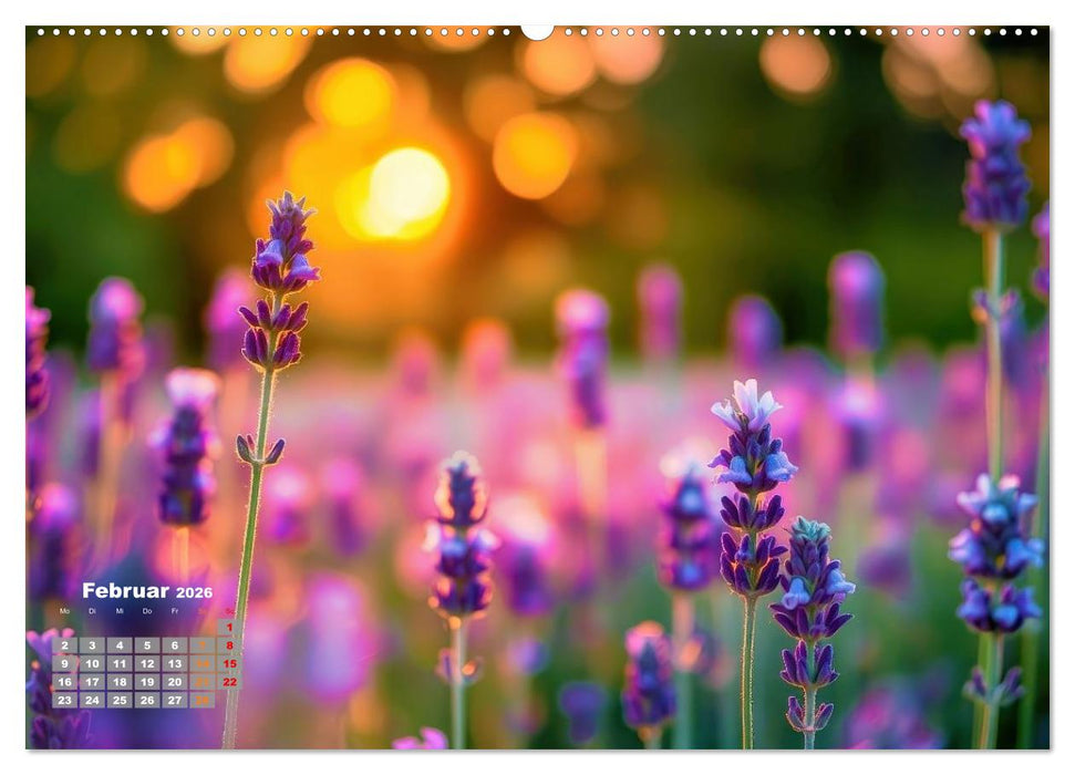 Lavendel für deine Sinne (CALVENDO Premium Wandkalender 2026)