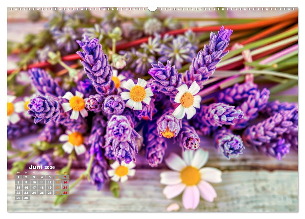 Lavendel für deine Sinne (CALVENDO Premium Wandkalender 2026)