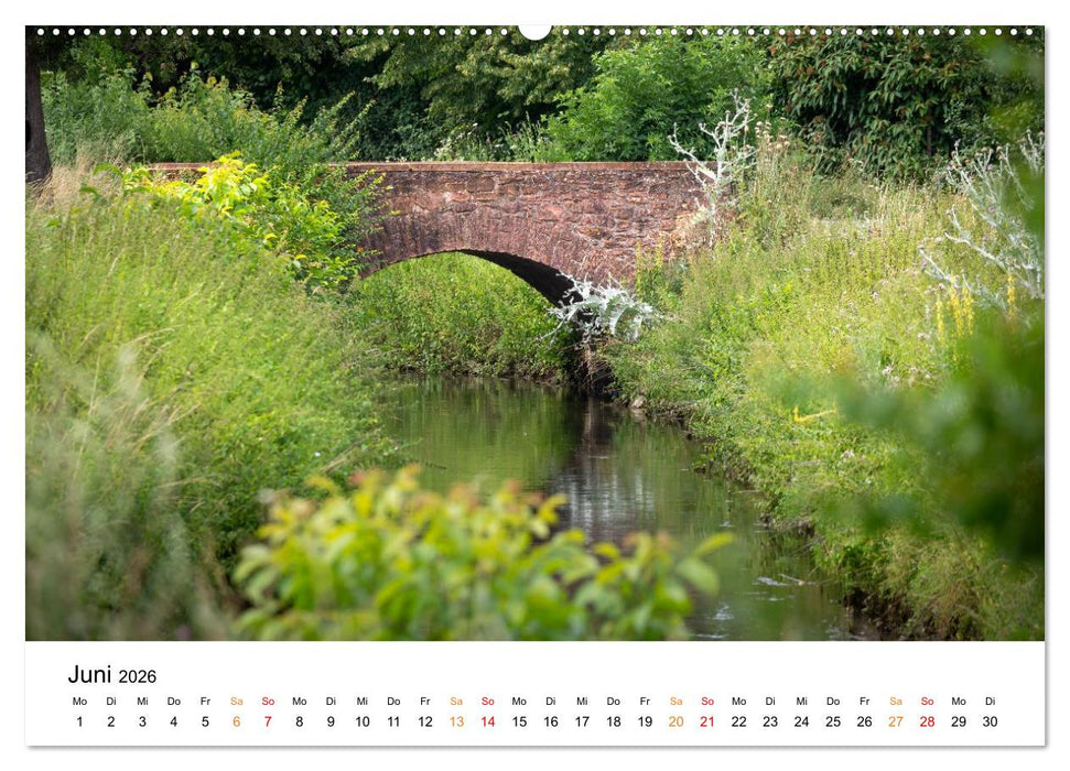 Die Hufeisengemeinde Brühl (CALVENDO Wandkalender 2026)