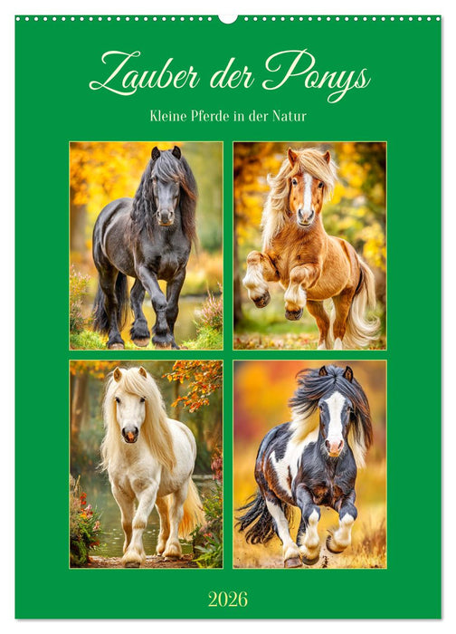 Zauber der Ponys. Kleine Pferde in der Natur (CALVENDO Wandkalender 2026)