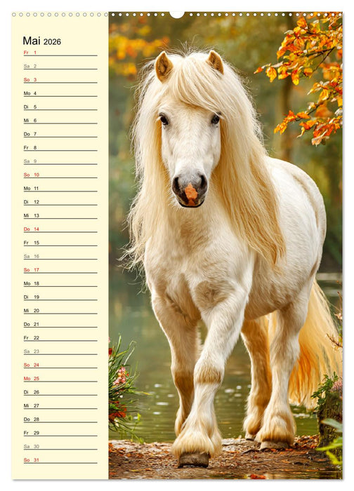 Zauber der Ponys. Kleine Pferde in der Natur (CALVENDO Wandkalender 2026)