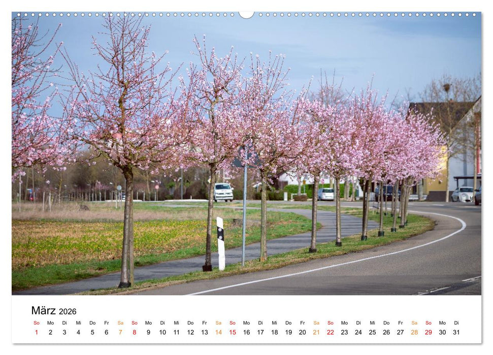 Die Hufeisengemeinde Brühl (CALVENDO Premium Wandkalender 2026)