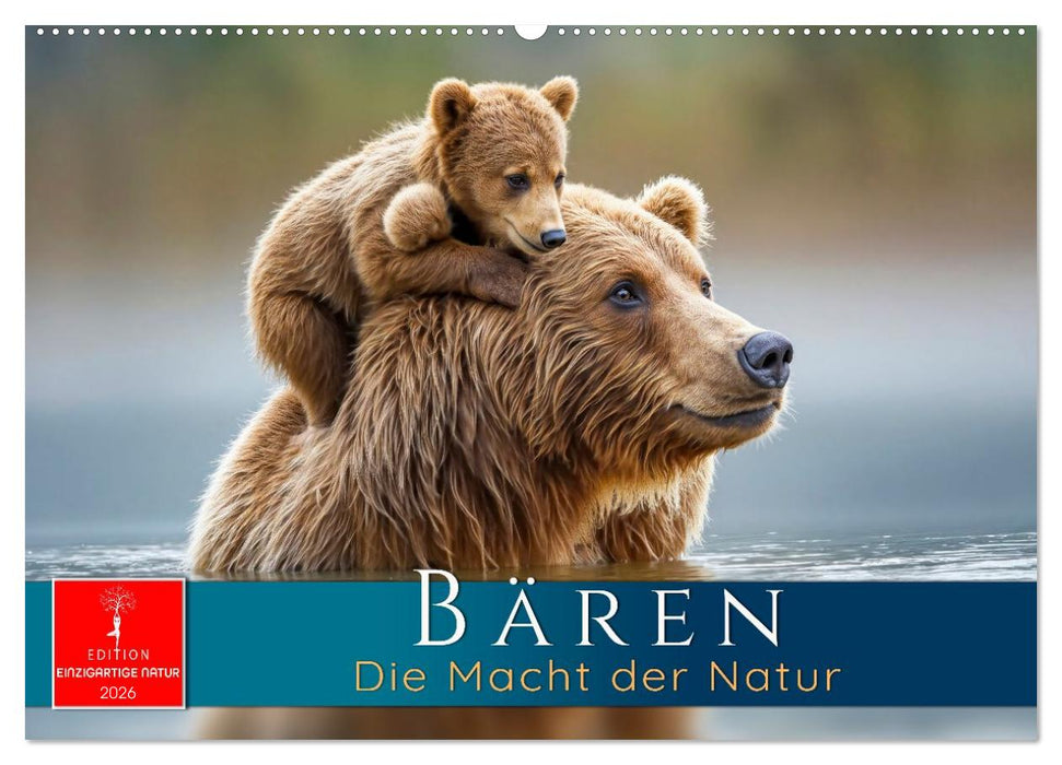 Bären - Die Macht der Natur (CALVENDO Wandkalender 2026)
