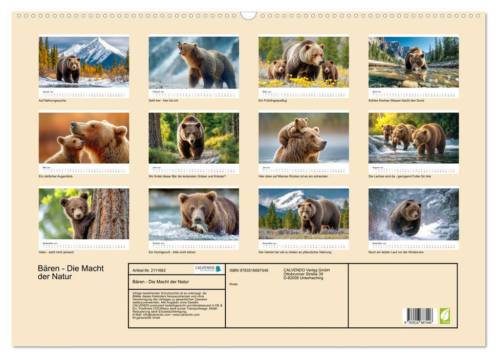Bären - Die Macht der Natur (CALVENDO Wandkalender 2026)