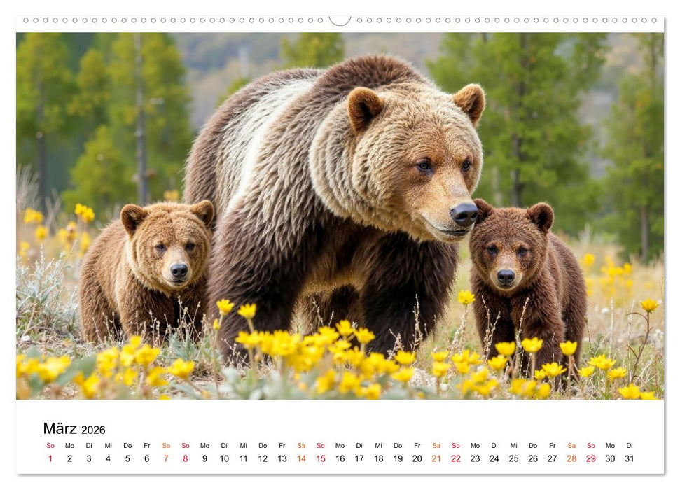 Bären - Die Macht der Natur (CALVENDO Premium Wandkalender 2026)