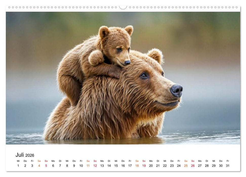 Bären - Die Macht der Natur (CALVENDO Premium Wandkalender 2026)