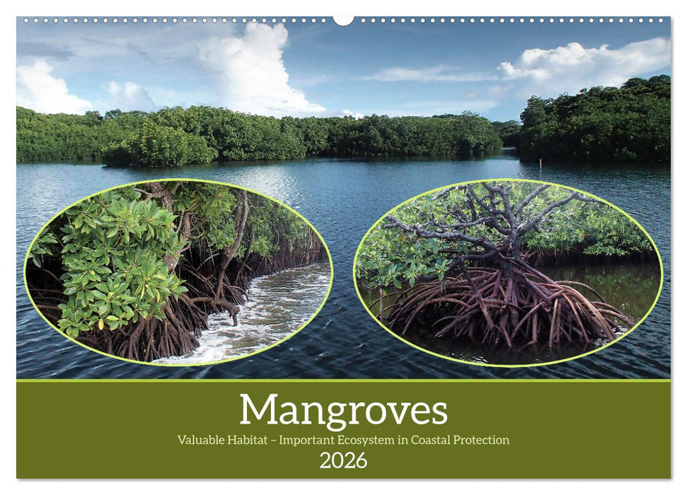 Mangroves - Valuable Habitat (CALVENDO Monthly Calendar 2026)