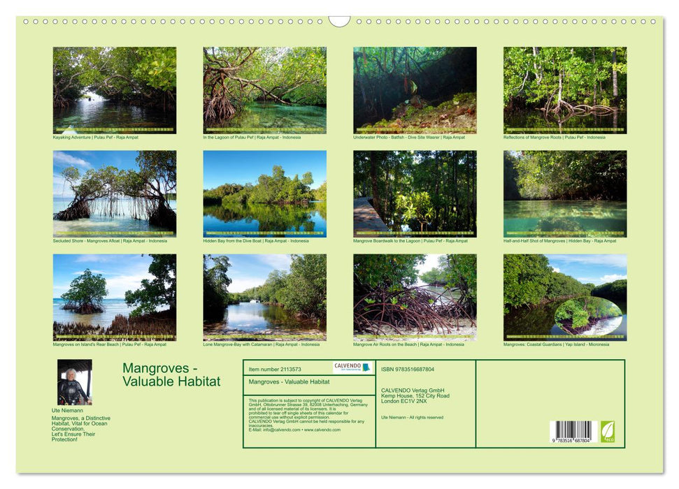 Mangroves - Valuable Habitat (CALVENDO Monthly Calendar 2026)
