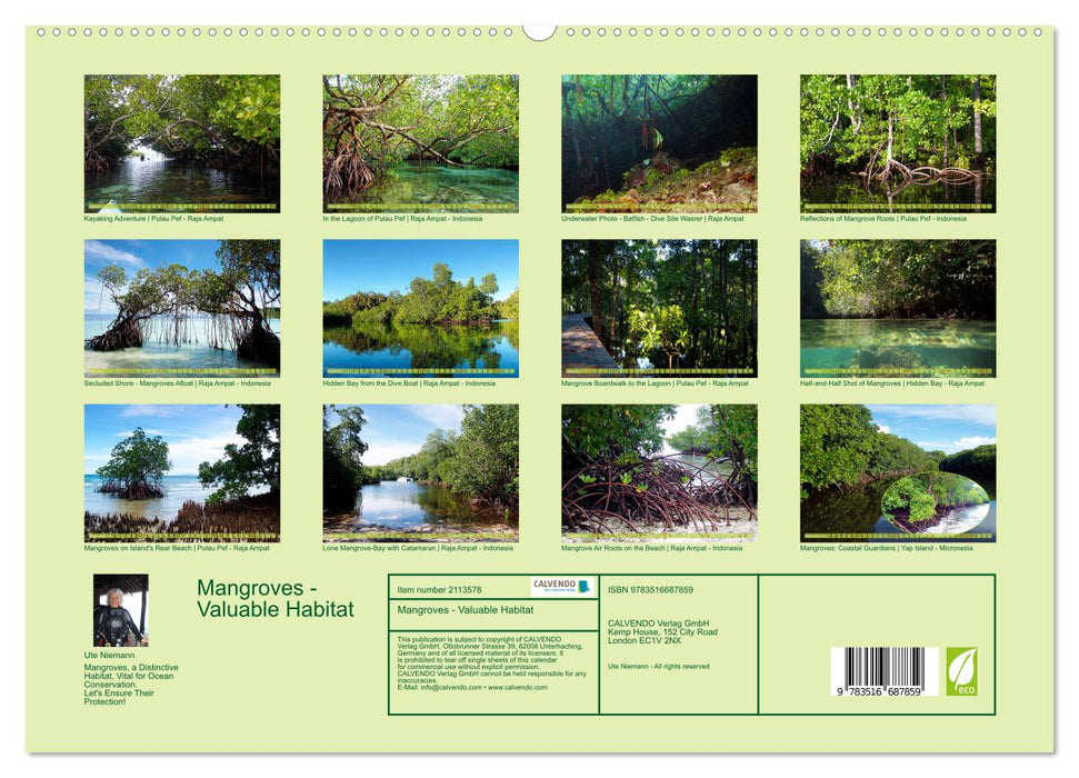 Mangroves - Valuable Habitat (CALVENDO Premium-Calendar 2026)