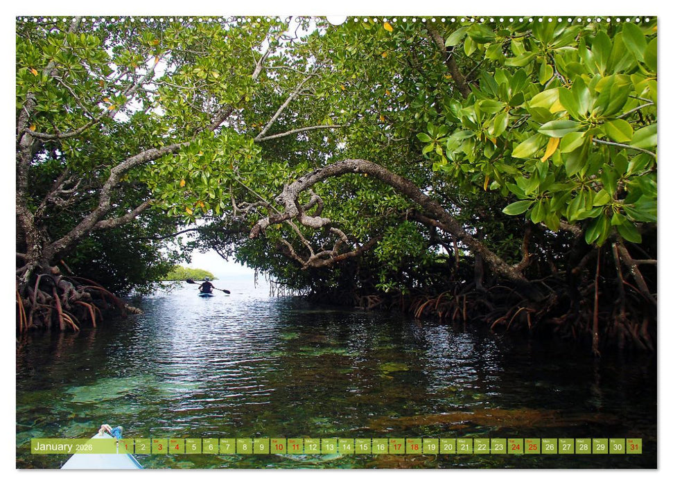 Mangroves - Valuable Habitat (CALVENDO Premium-Calendar 2026)