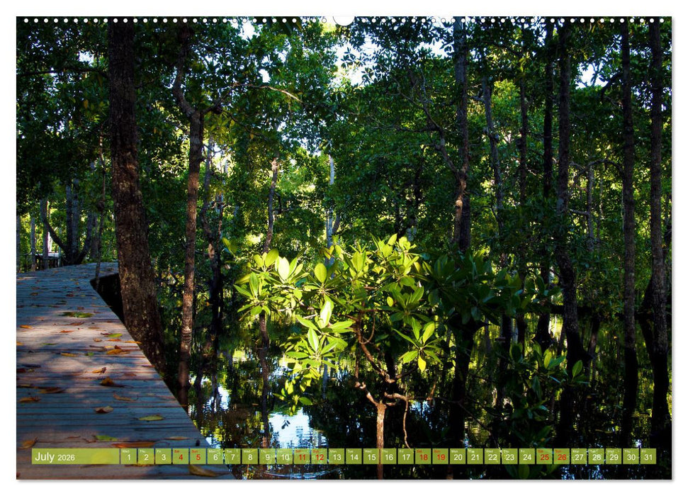Mangroves - Valuable Habitat (CALVENDO Premium-Calendar 2026)