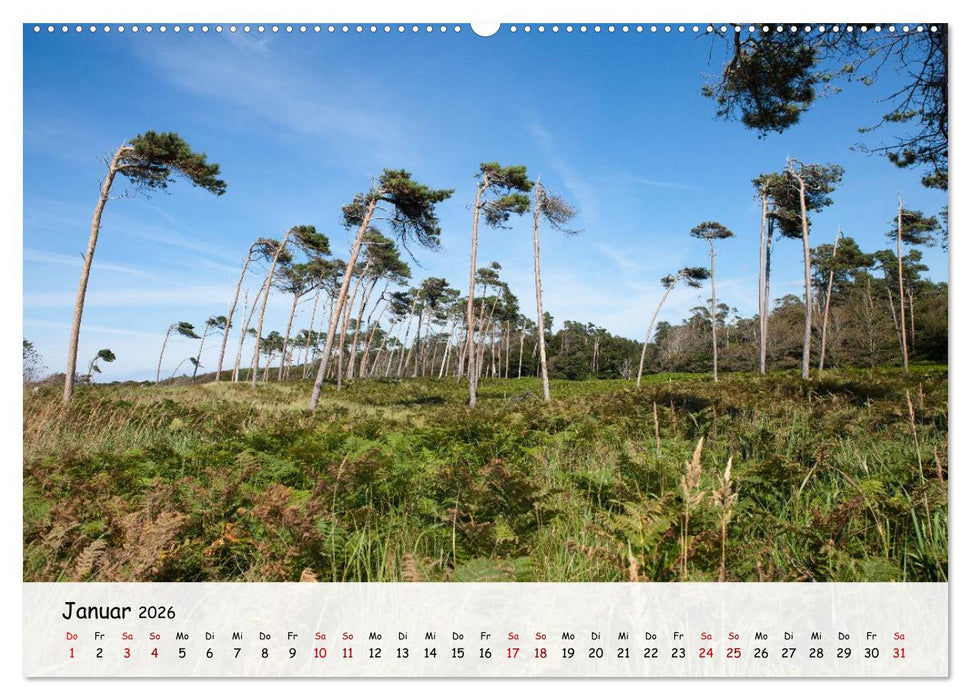 Fischland-Darß-Zingst - Zwischen Bodden und Ostsee (CALVENDO Premium Wandkalender 2026)