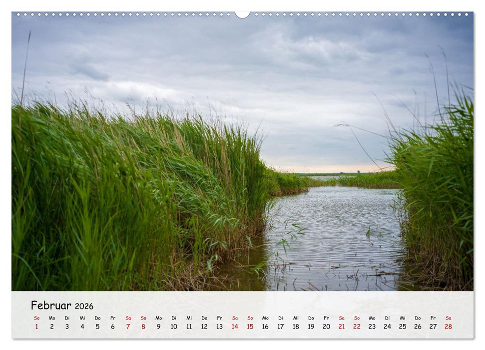 Fischland-Darß-Zingst - Zwischen Bodden und Ostsee (CALVENDO Premium Wandkalender 2026)