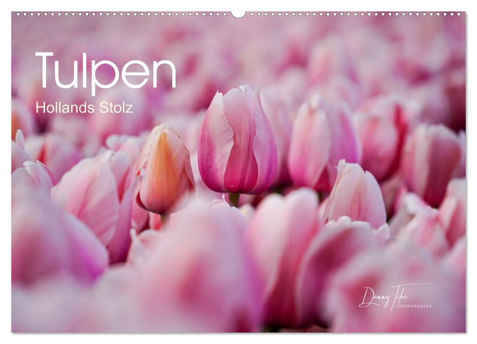 Tulpen - Hollands Stolz (CALVENDO Wandkalender 2026)