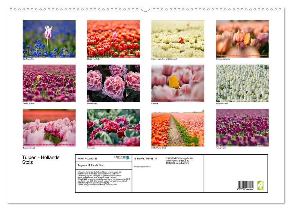 Tulpen - Hollands Stolz (CALVENDO Wandkalender 2026)