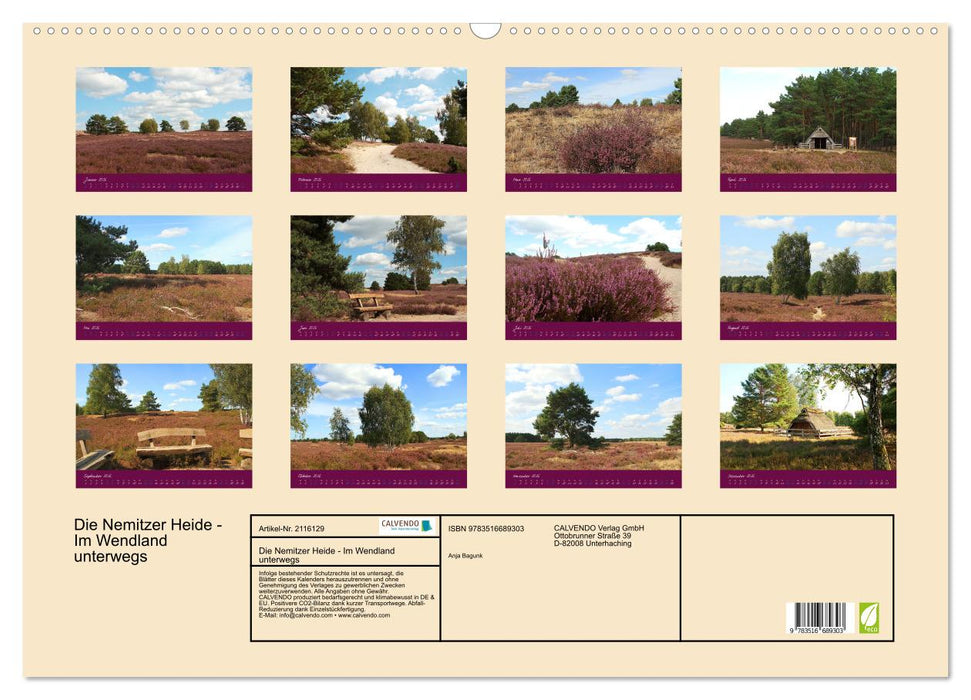Die Nemitzer Heide - Im Wendland unterwegs (CALVENDO Wandkalender 2026)