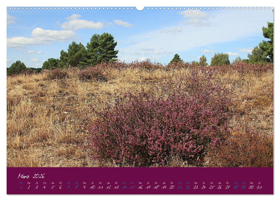 Die Nemitzer Heide - Im Wendland unterwegs (CALVENDO Wandkalender 2026)