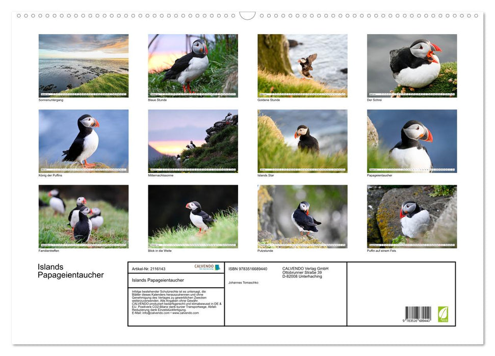 Islands Papageientaucher (CALVENDO Wandkalender 2026)