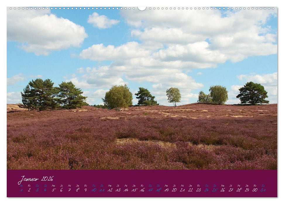 Die Nemitzer Heide - Im Wendland unterwegs (CALVENDO Premium Wandkalender 2026)
