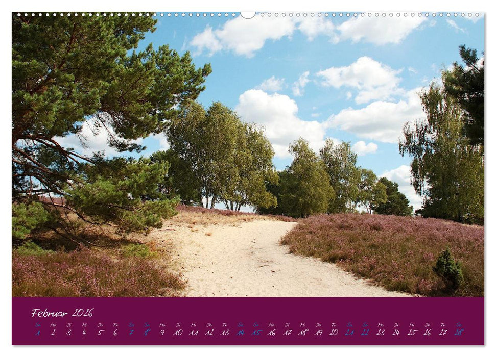 Die Nemitzer Heide - Im Wendland unterwegs (CALVENDO Premium Wandkalender 2026)