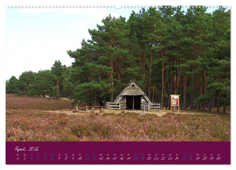 Die Nemitzer Heide - Im Wendland unterwegs (CALVENDO Premium Wandkalender 2026)