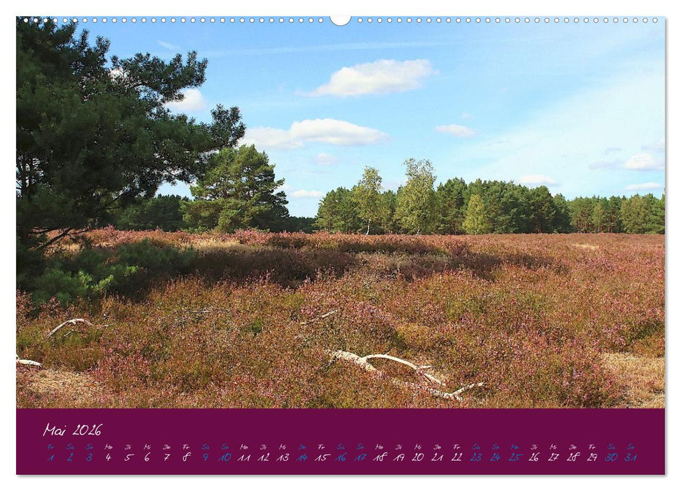 Die Nemitzer Heide - Im Wendland unterwegs (CALVENDO Premium Wandkalender 2026)