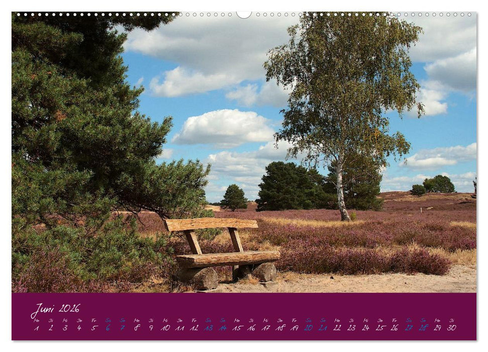 Die Nemitzer Heide - Im Wendland unterwegs (CALVENDO Premium Wandkalender 2026)