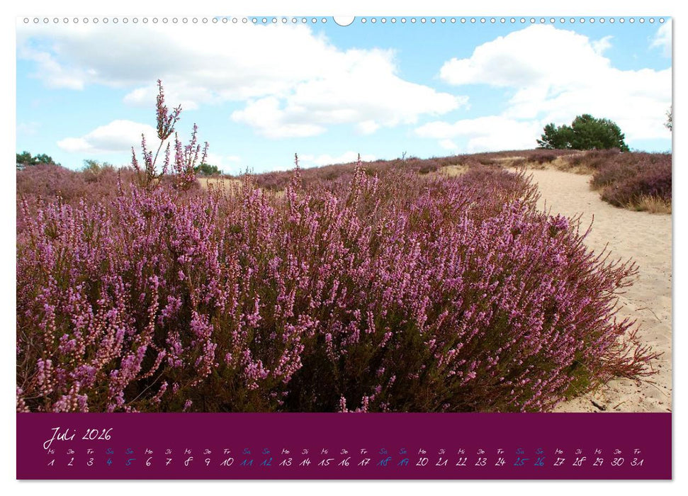 Die Nemitzer Heide - Im Wendland unterwegs (CALVENDO Premium Wandkalender 2026)