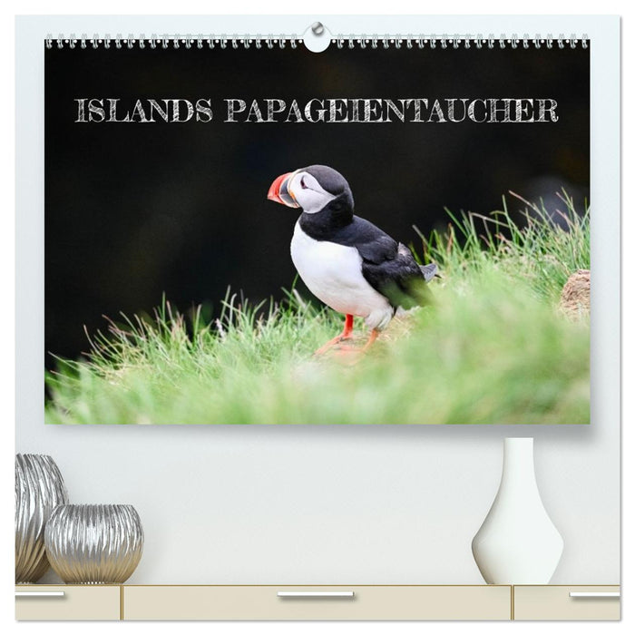 Islands Papageientaucher (CALVENDO Premium Wandkalender 2026)