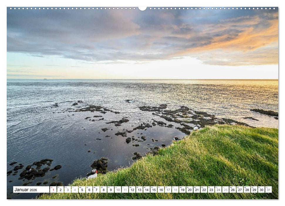Islands Papageientaucher (CALVENDO Premium Wandkalender 2026)