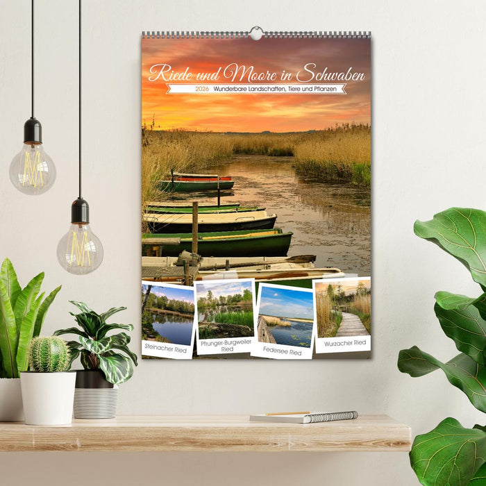 Riede und Moore in Schwaben (CALVENDO Wandkalender 2026)