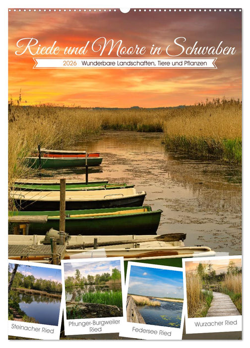 Riede und Moore in Schwaben (CALVENDO Wandkalender 2026)