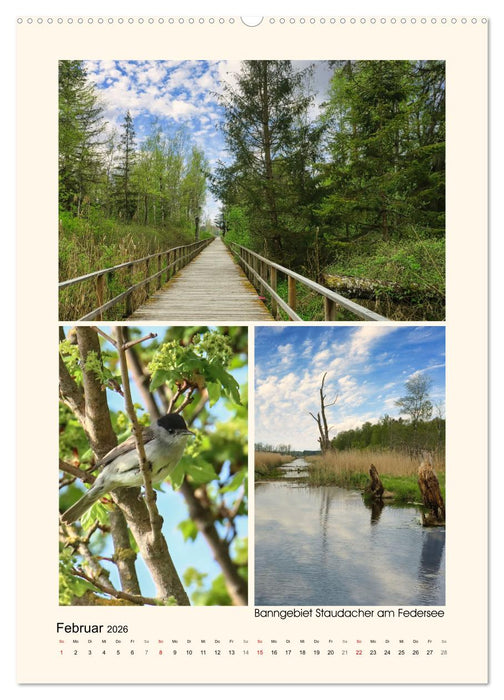 Riede und Moore in Schwaben (CALVENDO Wandkalender 2026)