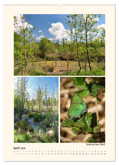 Riede und Moore in Schwaben (CALVENDO Wandkalender 2026)