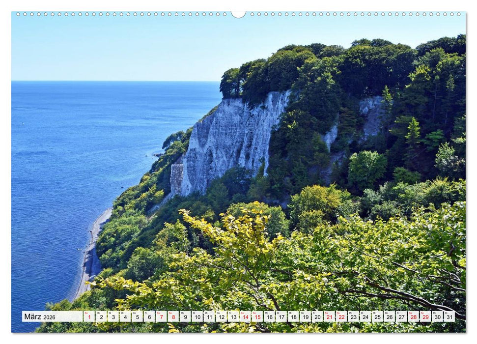 Sassnitz mit der Kreideküste (CALVENDO Wandkalender 2026)
