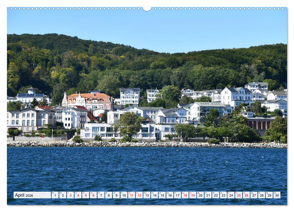 Sassnitz mit der Kreideküste (CALVENDO Wandkalender 2026)