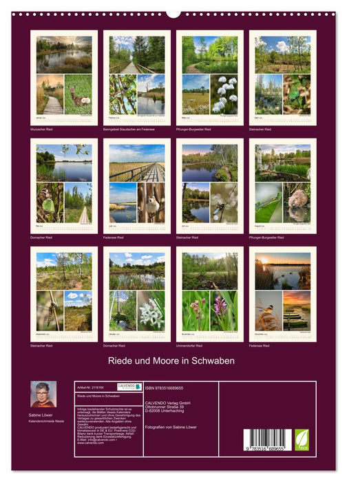 Riede und Moore in Schwaben (CALVENDO Premium Wandkalender 2026)