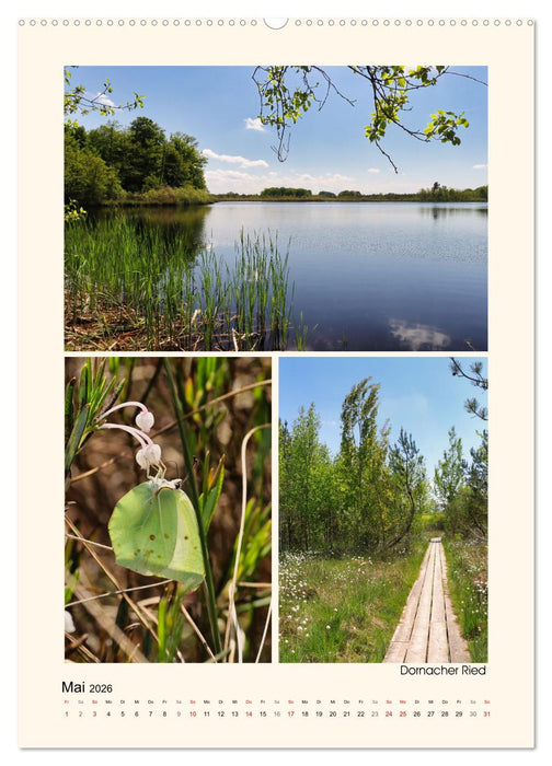 Riede und Moore in Schwaben (CALVENDO Premium Wandkalender 2026)