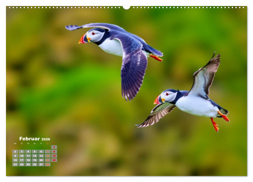 Tieftaucher Papageitaucher (CALVENDO Wandkalender 2026)