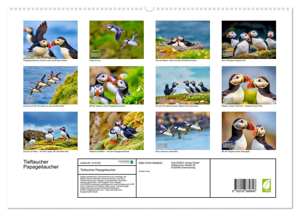 Tieftaucher Papageitaucher (CALVENDO Premium Wandkalender 2026)