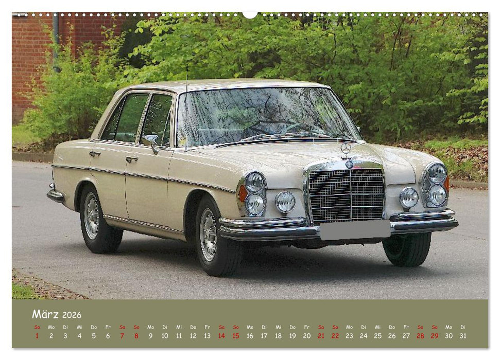 Spitzenmodelle - Wahre Hingucker (CALVENDO Premium Wandkalender 2026)